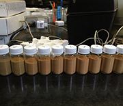 Bottles containing soil samples.